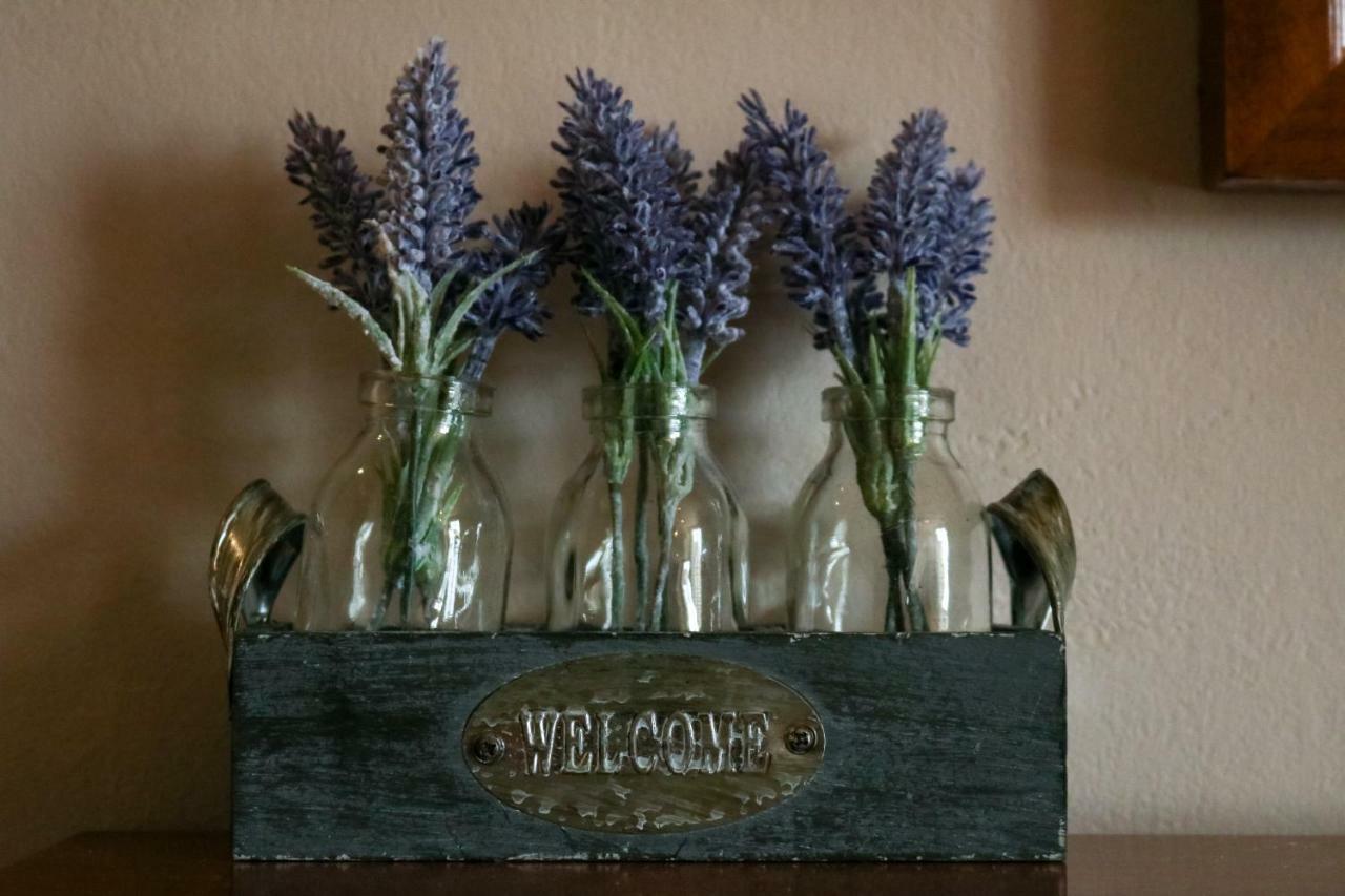The Hollybush Inn And B&B Priors Marston Esterno foto